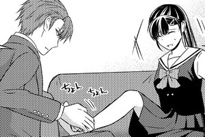 15歳差婚～女子高生とエリート専務
