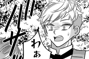 The Heroine’s Sister-Complex Brother Shouldn’t Dote on the Villainess