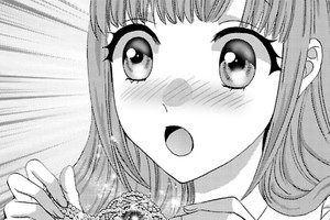 貴婦人は優雅に微笑む
