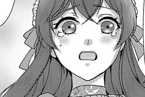 貴婦人は優雅に微笑む