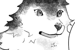 追放された悪役令嬢が止まらない！　隣で振り回されている追加キャラが僕です